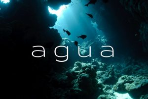 agua